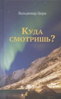 обложка аудиокниги Куда смотришь?