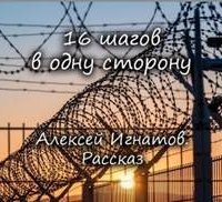 обложка аудиокниги 16 шагов в одну сторону