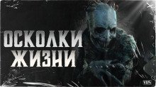 обложка аудиокниги Осколки жизни