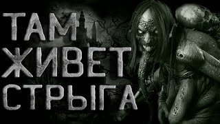 обложка аудиокниги Там живет Стрыга