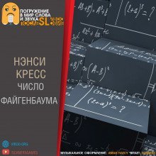 обложка аудиокниги Число Файгенбаума