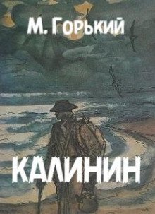 обложка аудиокниги Калинин