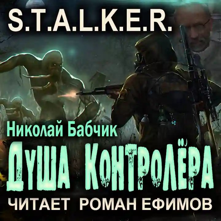 обложка аудиокниги S.T.A.L.K.E.R. Душа контролёра