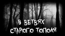 обложка аудиокниги В ветвях старого тополя