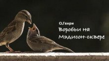обложка аудиокниги Воробьи на Мэдисон-сквере