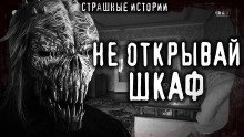 обложка аудиокниги Бука или Чудовище из шкафа