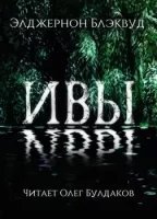 обложка аудиокниги Ивы