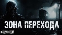 обложка аудиокниги Зона перехода