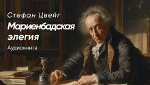 обложка аудиокниги Мариенбадская элегия