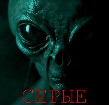 обложка аудиокниги Серые