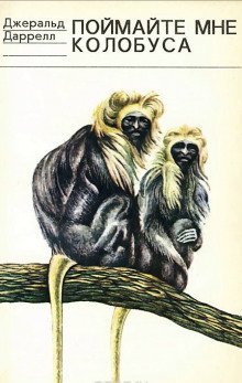 обложка аудиокниги Поймайте мне колобуса