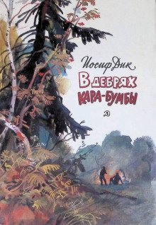 обложка аудиокниги В дебрях Кара-Бумбы