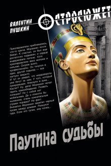 обложка аудиокниги Паутина судьбы