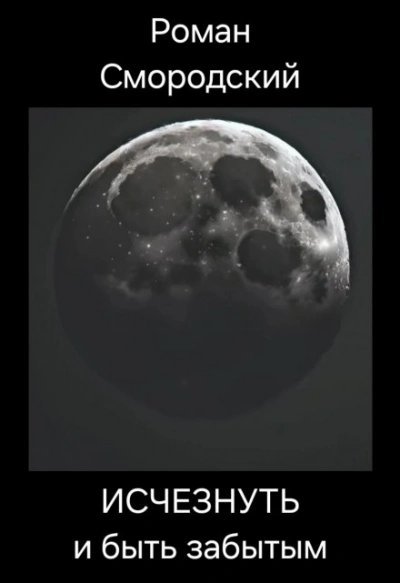 обложка аудиокниги Исчезнуть и быть забытым