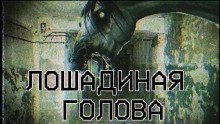 обложка аудиокниги Лошадиная голова