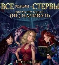 обложка аудиокниги Все ведьмы – стервы, или Ректору больше (не) наливать
