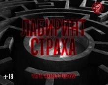 обложка аудиокниги Лабиринт страха