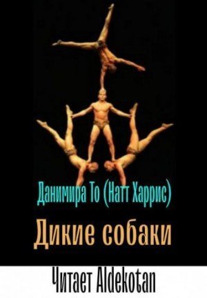 обложка аудиокниги Дикие собаки