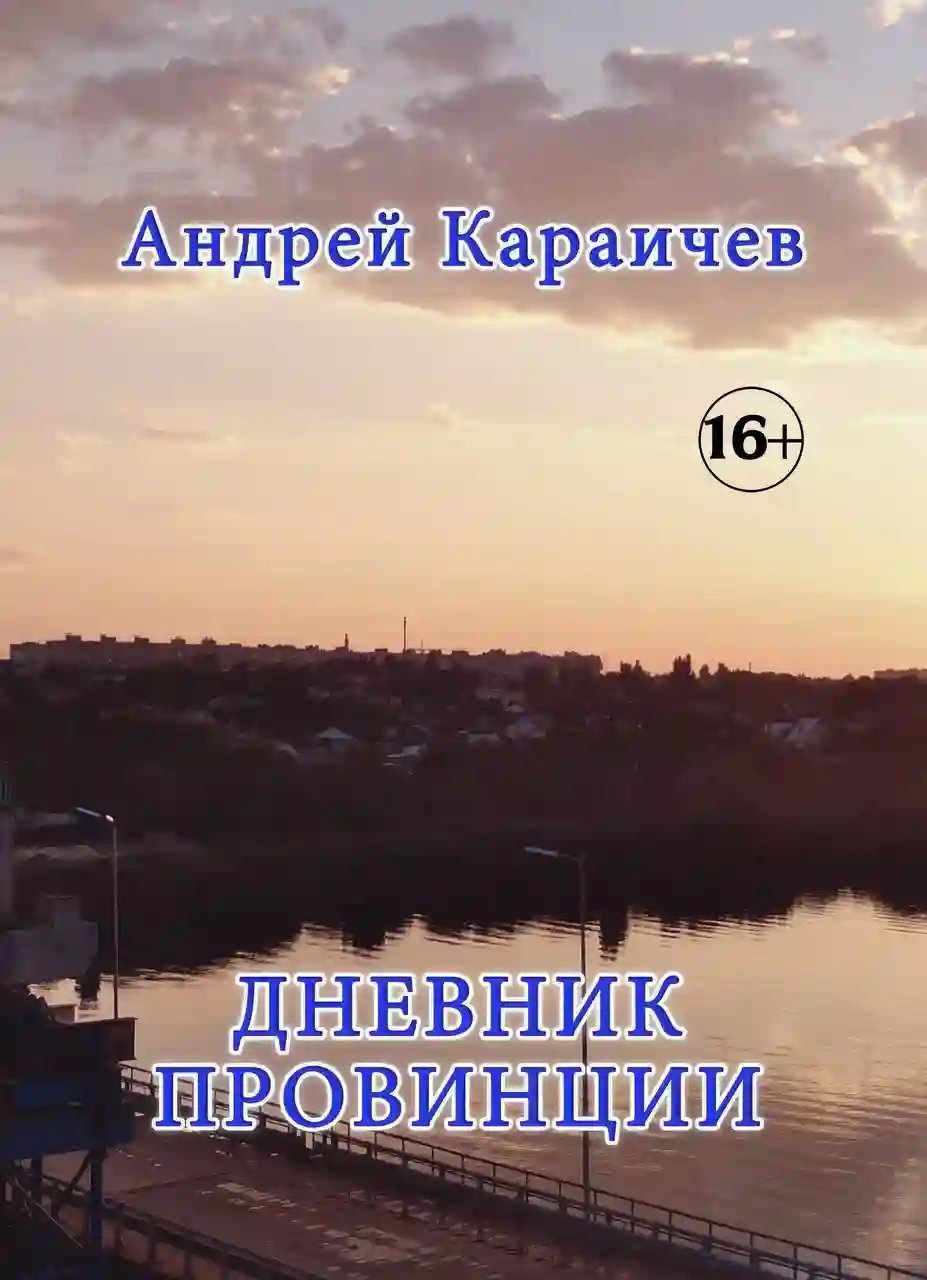 обложка аудиокниги Дневник провинции