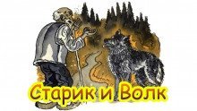 обложка аудиокниги Старик и волк