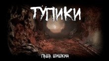 обложка аудиокниги Тупики
