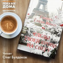 обложка аудиокниги Следы твоей крови на снегу