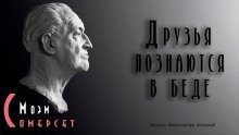 обложка аудиокниги Друзья познаются в беде