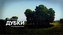 обложка аудиокниги Дубки