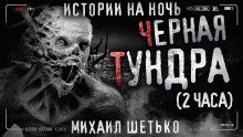 обложка аудиокниги Чёрная Тундра