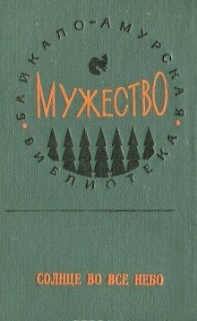 обложка аудиокниги Солнце во все небо