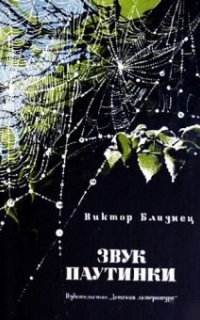 обложка аудиокниги Звук паутинки