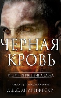 обложка аудиокниги Тайна Квентина Блэка 3. Чёрное Рождество