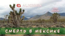 обложка аудиокниги Смерть в Мексике