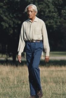 обложка аудиокниги Дневник Кришнамурти