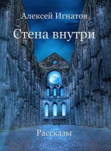 обложка аудиокниги Стена внутри