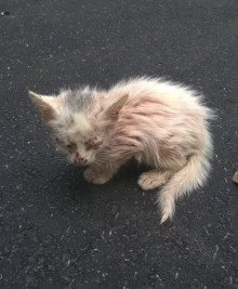 обложка аудиокниги История одного Носочка