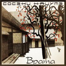 обложка аудиокниги Врата