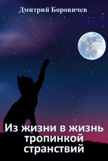 обложка аудиокниги Из жизни в жизнь тропинкой странствий