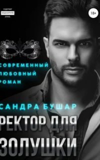 обложка аудиокниги ВУЗовские принцессы 1. Ректор для Золушки