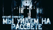 обложка аудиокниги Мы уйдем на рассвете