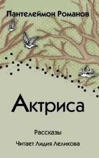 обложка аудиокниги Актриса