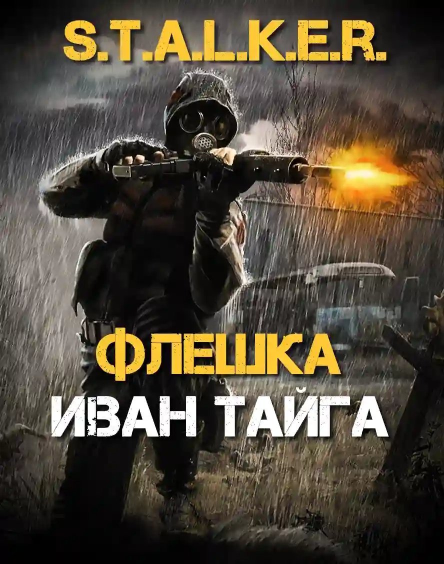 обложка аудиокниги S.T.A.L.K.E.R. Флешка