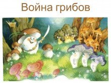 обложка аудиокниги Война грибов