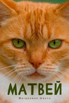обложка аудиокниги Матвей
