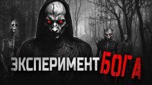 обложка аудиокниги Божественный эксперимент