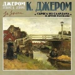 обложка аудиокниги Скряга из Саардама и другие рассказы