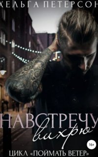 обложка аудиокниги Поймать ветер 3. Навстречу вихрю