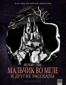 обложка аудиокниги Мальчик во мгле