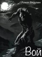 обложка аудиокниги Вой