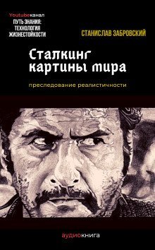 обложка аудиокниги Сталкинг картины мира